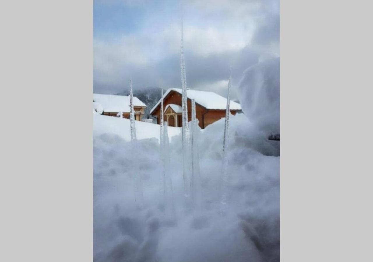 Des Hauts De France * Xonrupt-Longemer